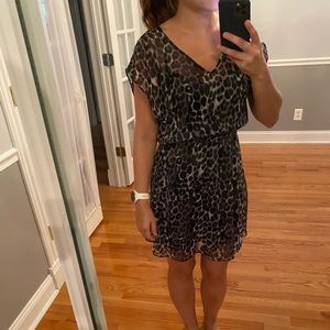 Express Dress